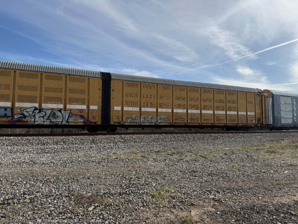 BTTX 880067